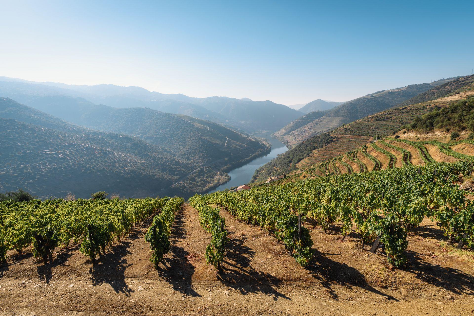 Coisas sobre o Douro que ningu&eacute;m lhe diz