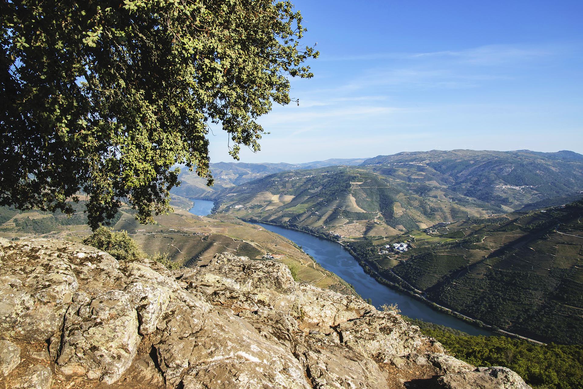 Douro Sublimado: Um Dia Memor&aacute;vel Entre Vinhos, Paisagens e Tradi&ccedil;&atilde;o