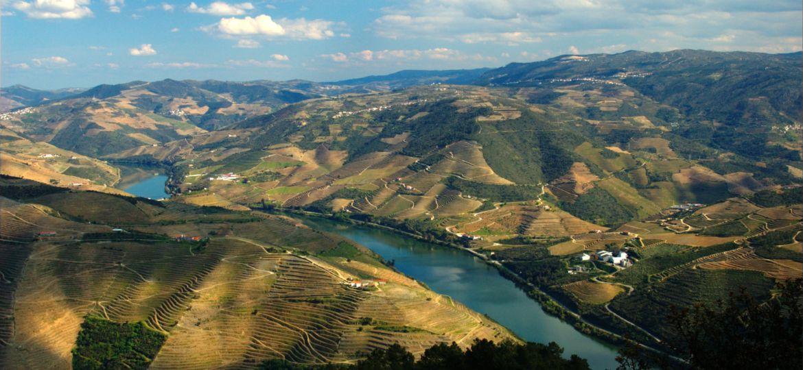 Peso da R&eacute;gua: Tudo o que n&atilde;o pode perder na Cidade do Vinho 2019