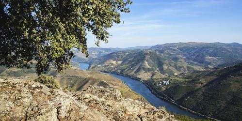 Tour Douro 360