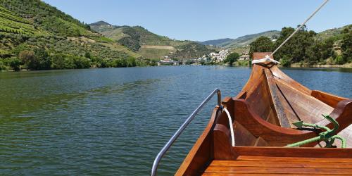 DOURO SUBLIMADO: OUTONO E INVERNO