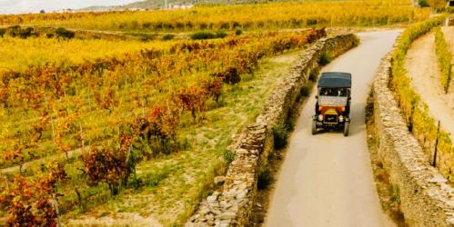 Douro Cl&aacute;ssico