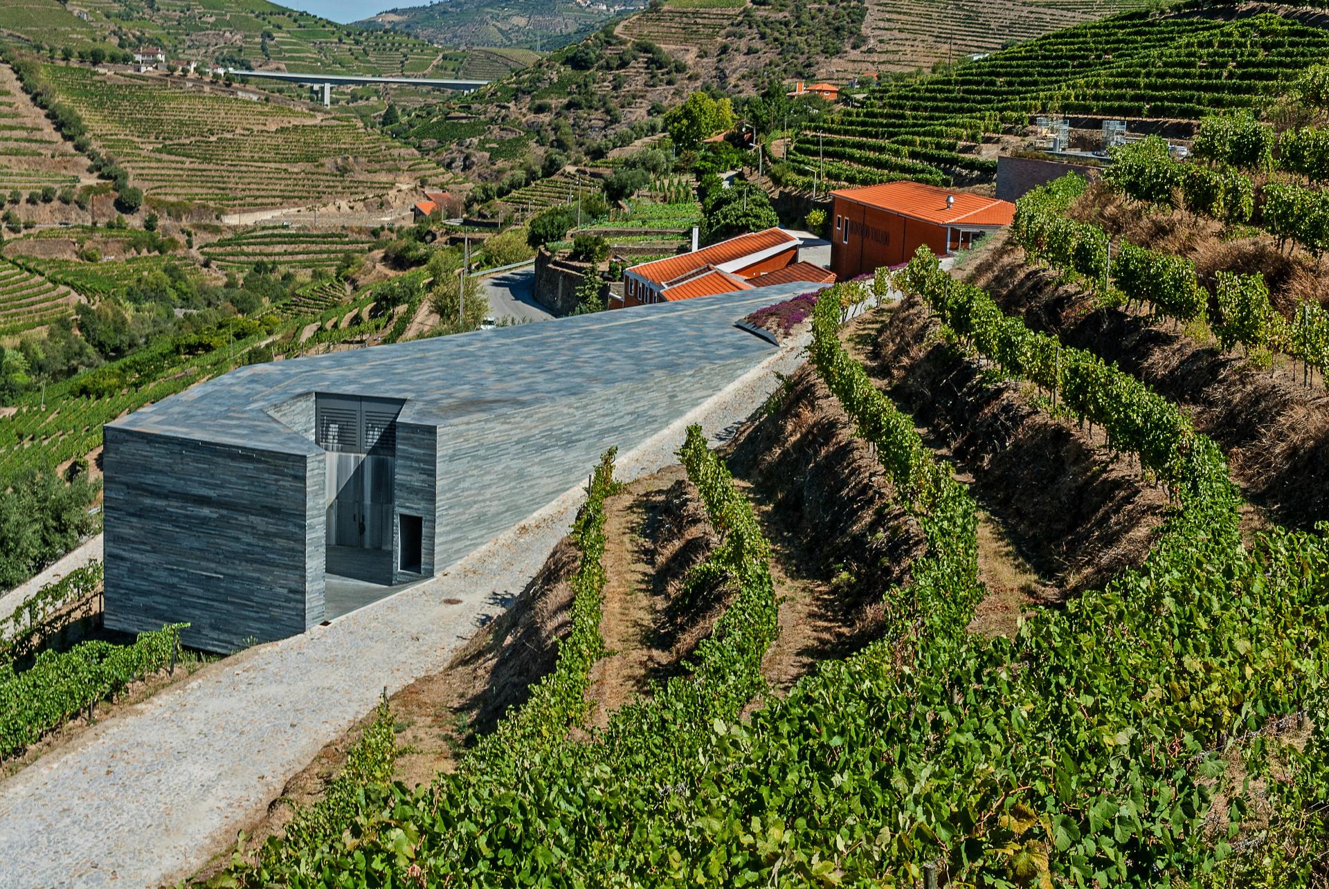 Visita & Prova Quinta do Vallado - 2